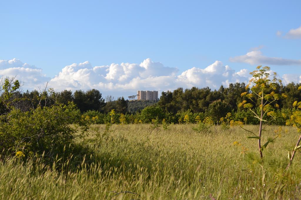 B&B Le Stagioni Castel Del Monte  Exterior photo